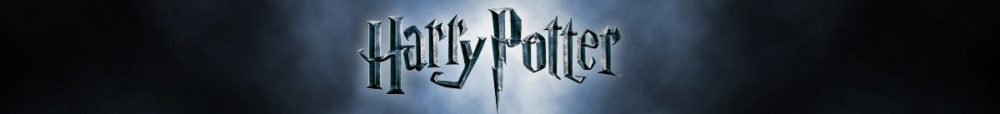 Harry-Potter-Banner-yorkshire-rose-and-jessowey-41488195-1200-170